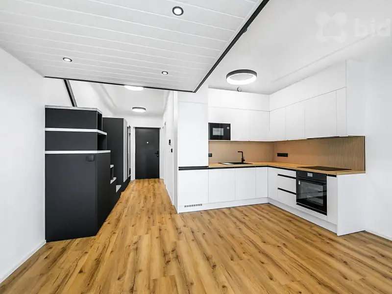 Pronájem bytu 1+kk 38 m², Plzeň – náhled fotky 1