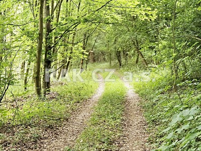Prodej  pozemku 47 568 m²