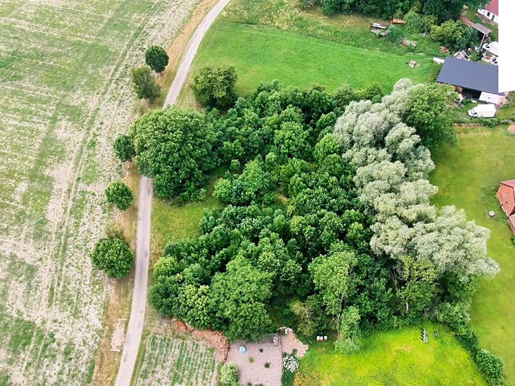 Grundstück zum Kauf, 3.537 m² (5 von 7)