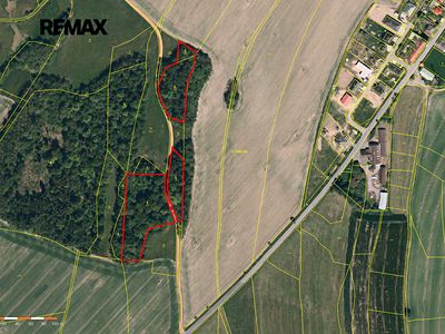 Prodej lesa 25088 m²