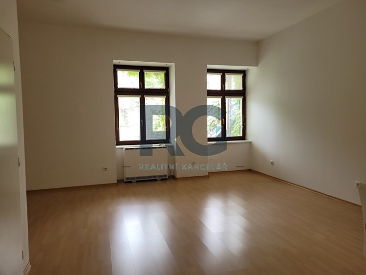 Wohnung 1+kk zur Miete, 40 m² (4 von 11)