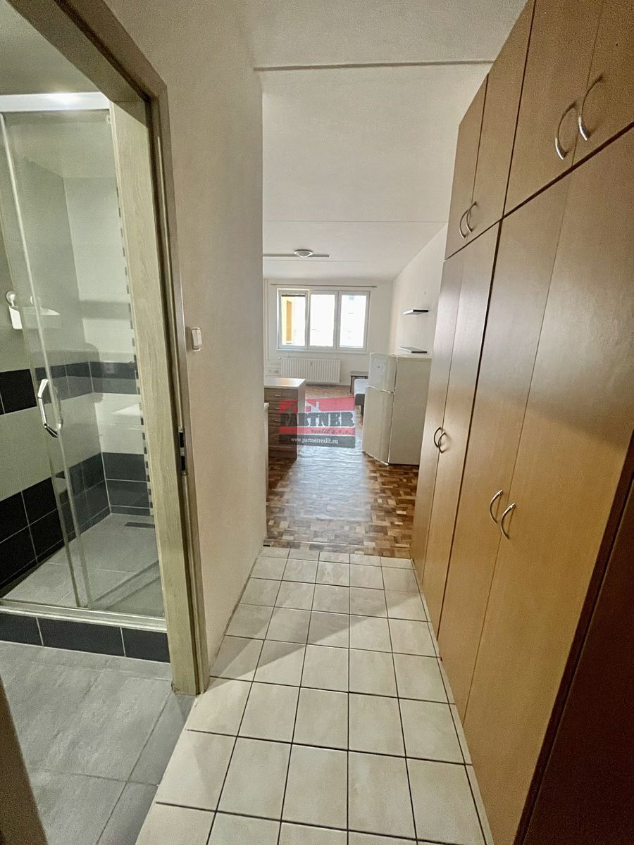 Pronájem bytu 1+kk 31 m² – fotografie 5