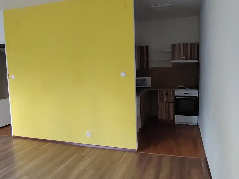 Pronájem bytu 1+kk 33 m², Orlová – náhled fotky 2