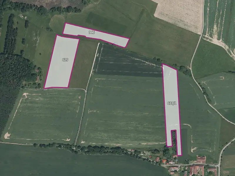 Prodej pole 61363 m², Bernartice – náhled fotky 1