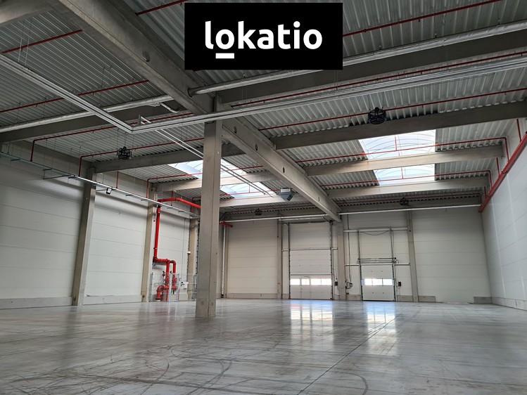 Комерційне приміщення в оренду, 1 168 м² (1 з 4)