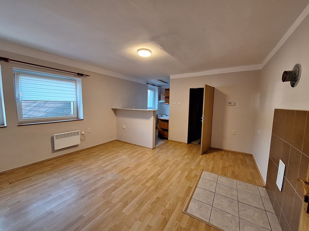 Pronájem bytu 1+kk 25 m²