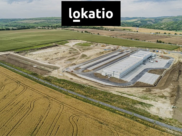 Комерційне приміщення в оренду, 8 150 м² (3 з 9)