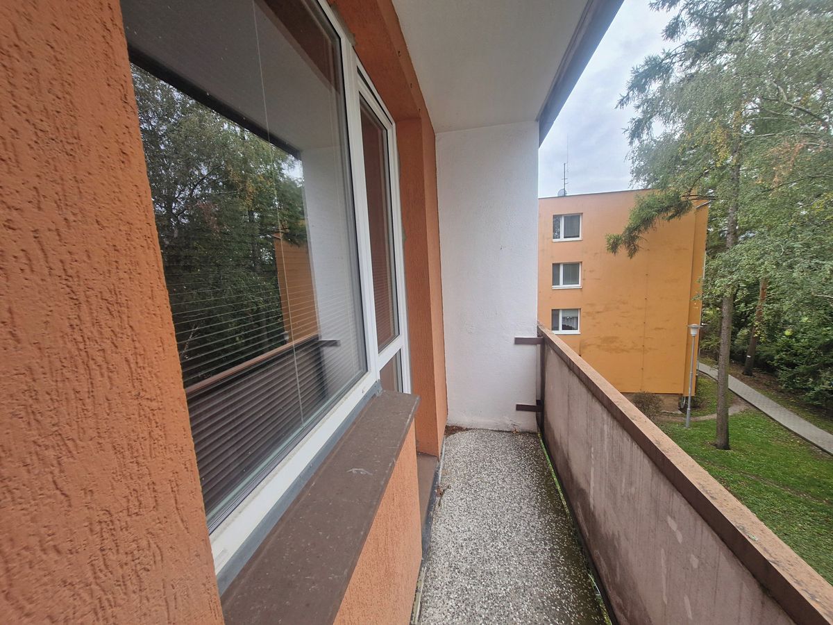 Pronájem bytu 2+1 55 m² – fotografie 5