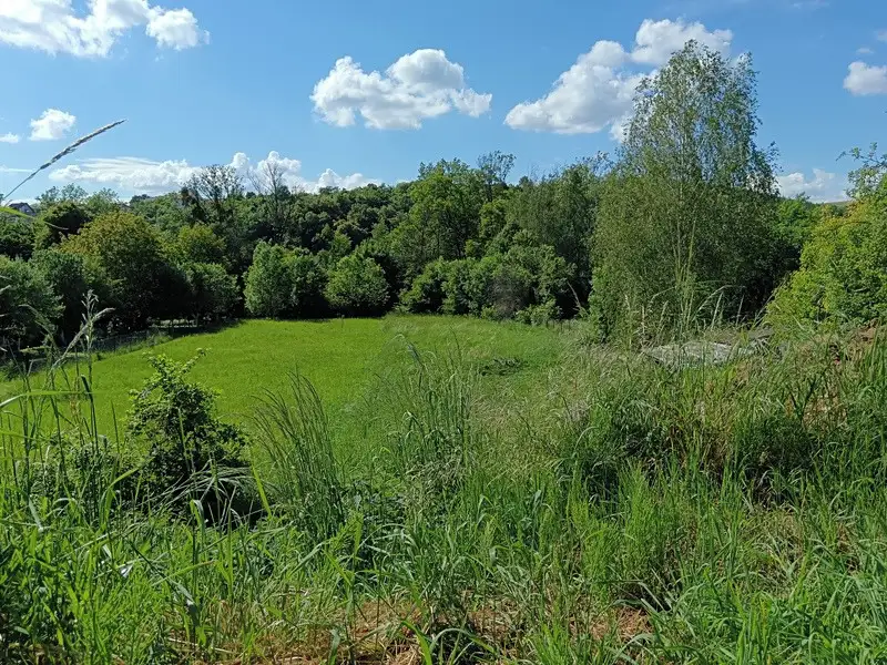Prodej stavebního pozemku 1271 m², Záhorovice – náhled fotky 3