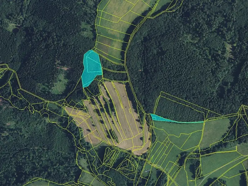 Prodej lesa 11901 m², Drozdov – náhled fotky 2