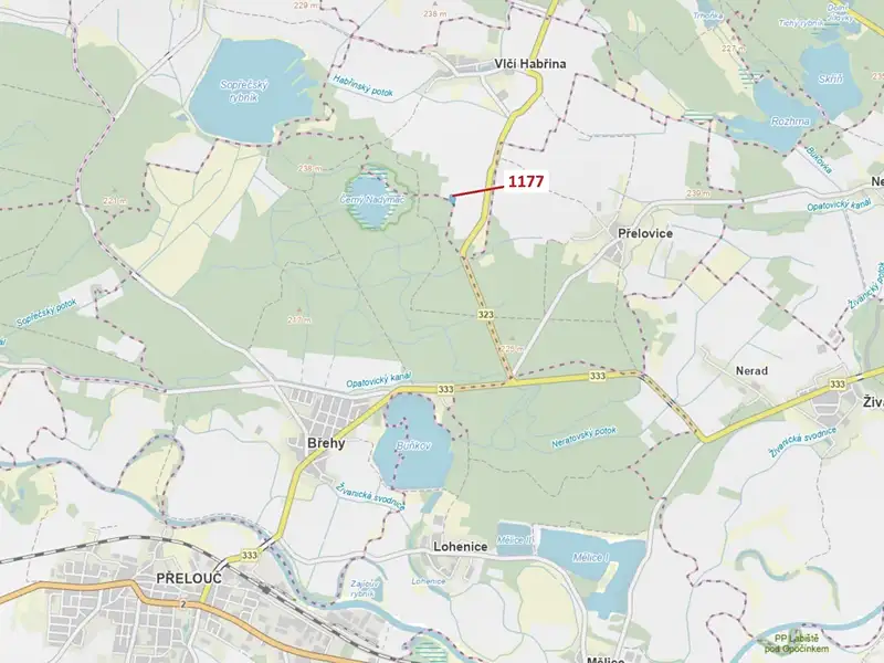 Dražba lesa 4658 m², Vlčí Habřina – náhled fotky 1