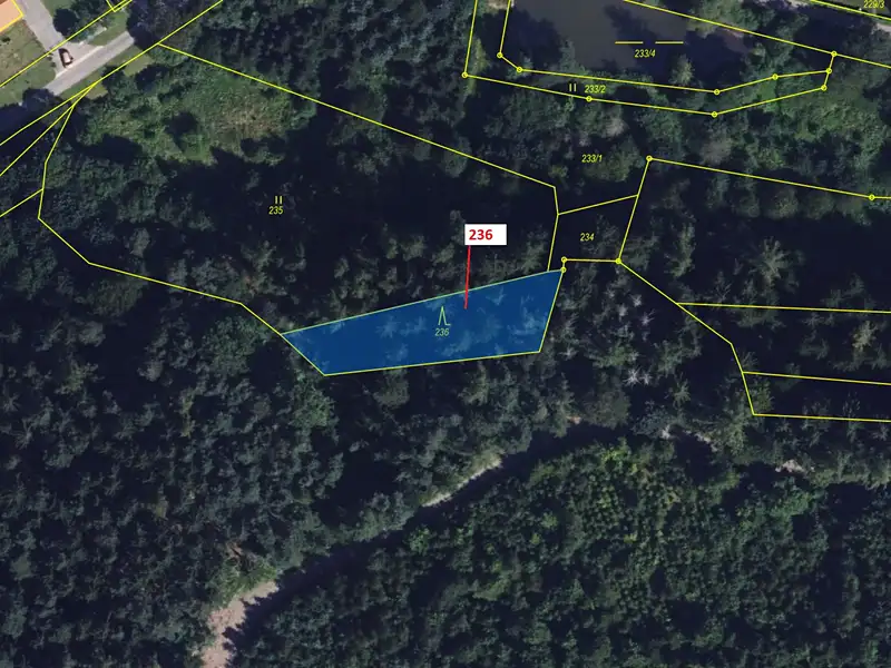 Dražba lesa 813 m², Březinky – náhled fotky 2