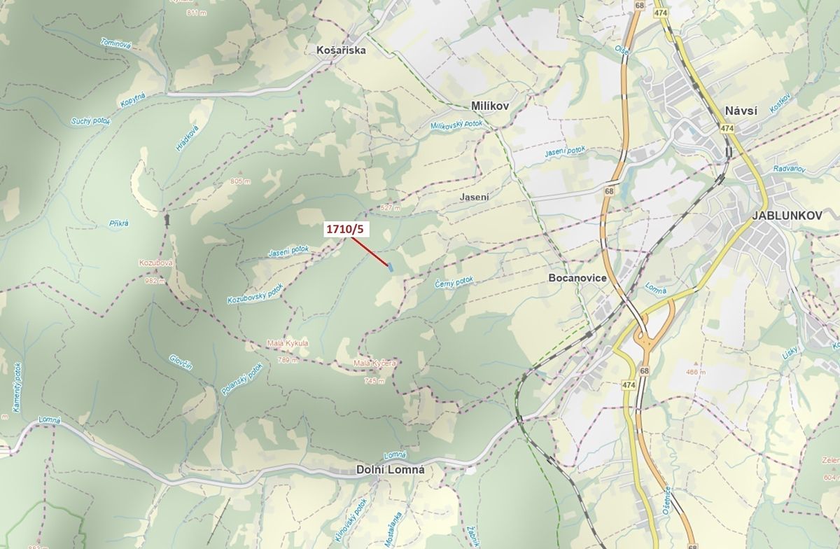 Dražba lesa 3528 m², Návsí – fotka 1 z 3