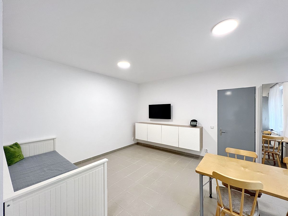 Pronájem bytu 1+kk 30 m² – fotografie 4