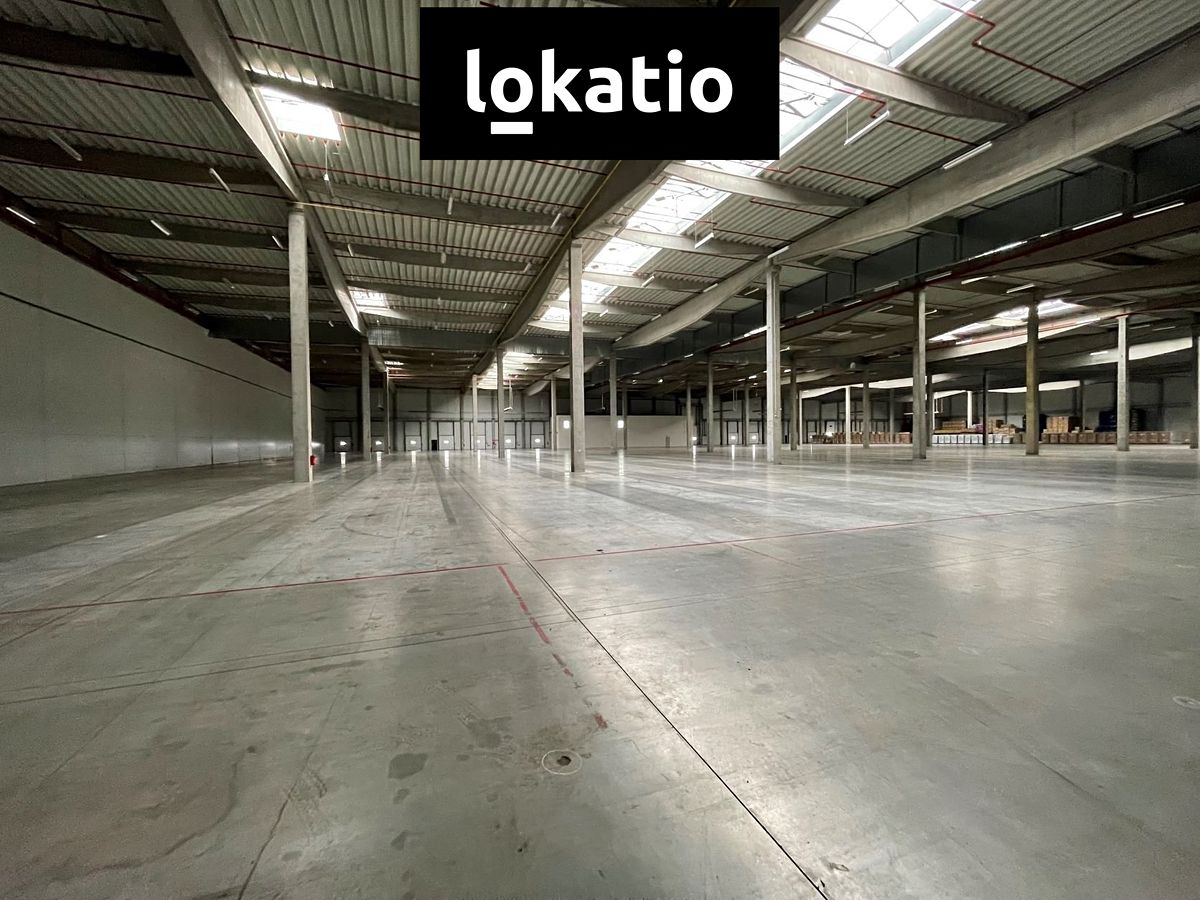 Pronájem skladového prostoru 18297 m²