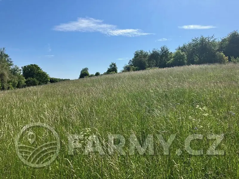 Prodej louky 12974 m², Kouřim – náhled fotky 1