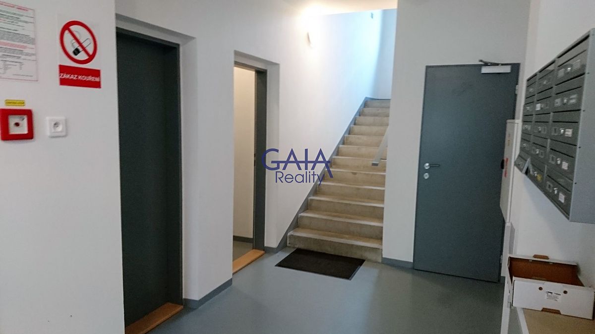 Pronájem bytu 1+kk 30 m² – fotografie 4