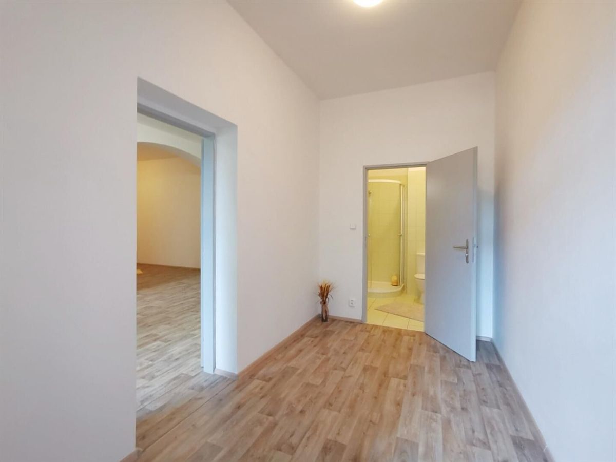 Pronájem bytu 1+kk 47 m² – fotografie 5
