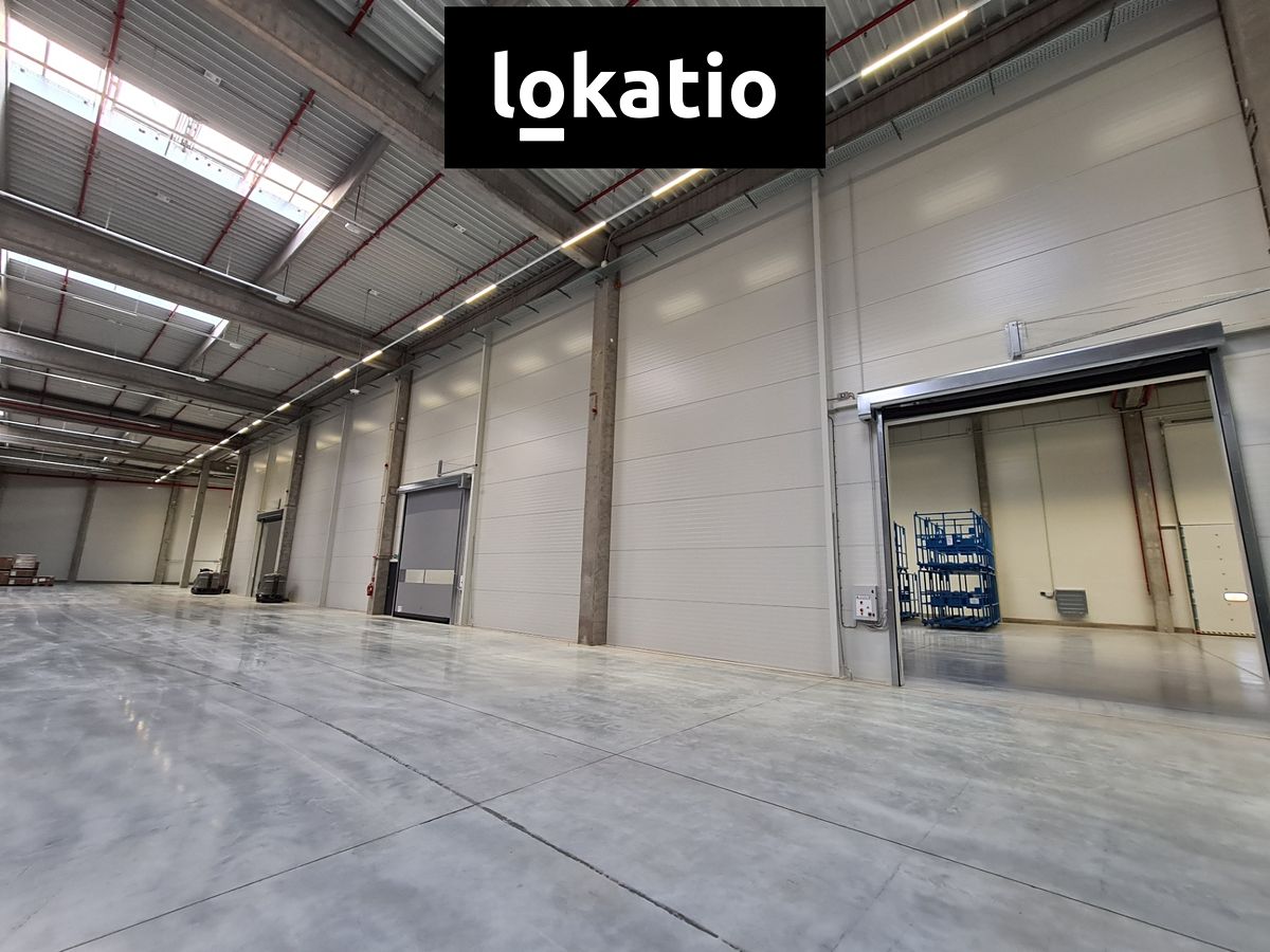 Pronájem skladového prostoru 2000 m² – fotografie 3