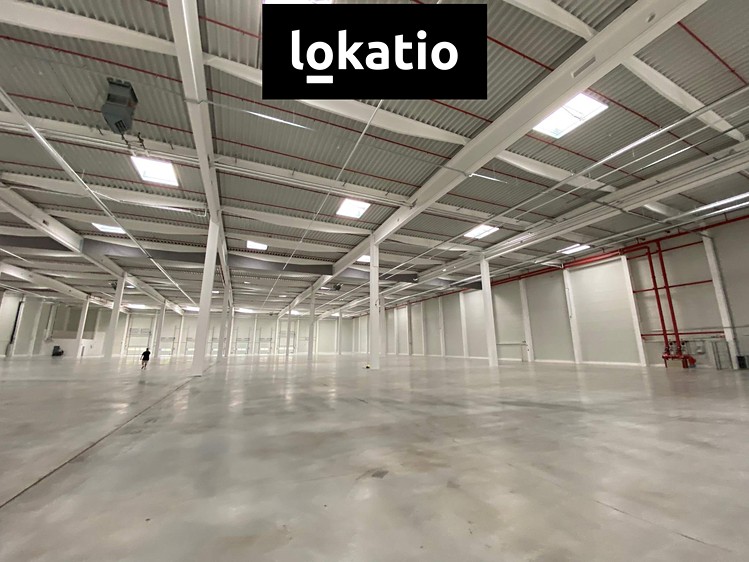 Комерційне приміщення в оренду, 4 323 м² (7 з 12)