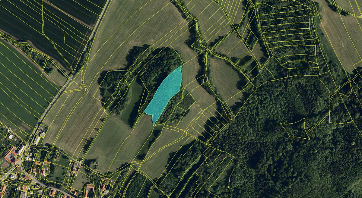 Prodej lesa 12582 m² – fotografie 3