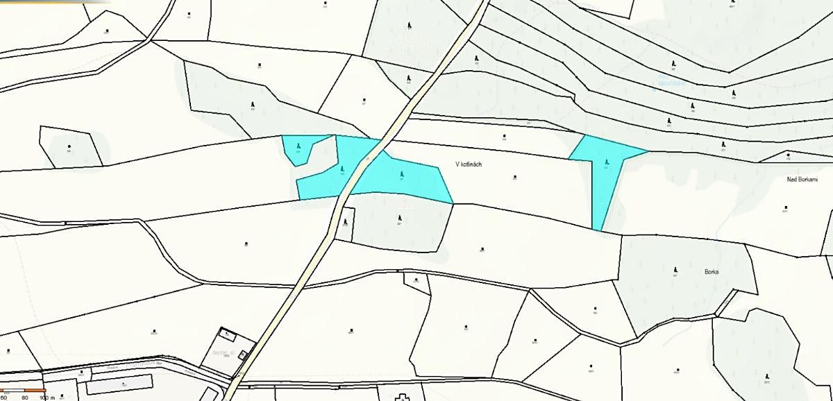 Prodej lesa 7493 m² – fotografie 3