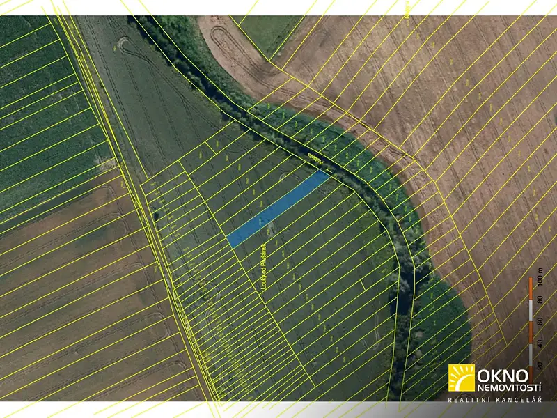 Prodej sadu, vinice 3459 m², Josefov – náhled fotky 2