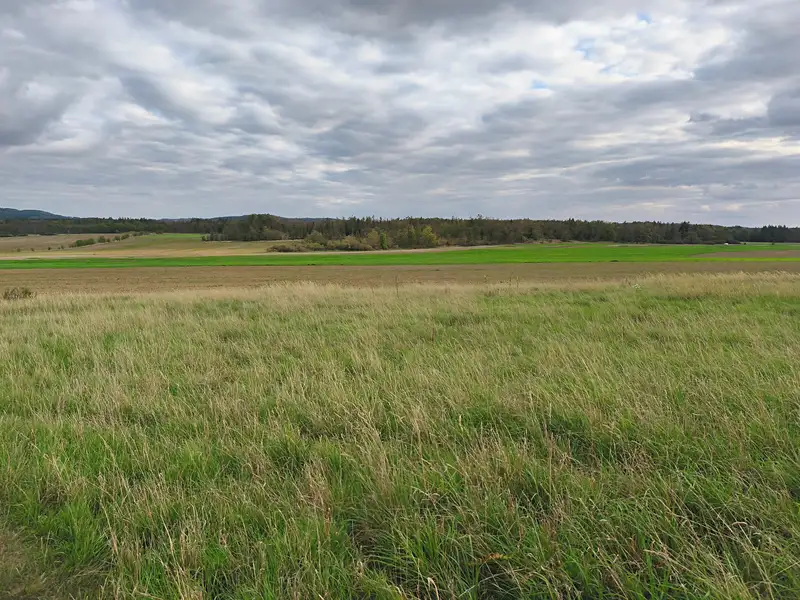 Prodej louky 3629 m², Stará Huť – náhled fotky 1