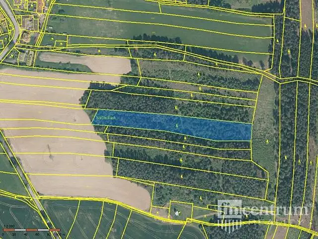 Prodej lesa 28936 m², Radkov – náhled fotky 3