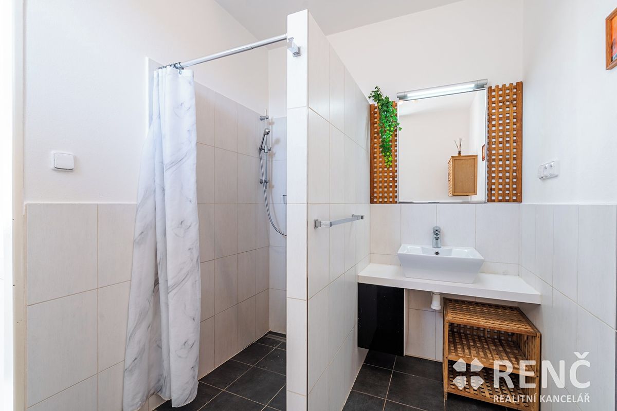 Pronájem bytu 1+1 52 m² – fotografie 3