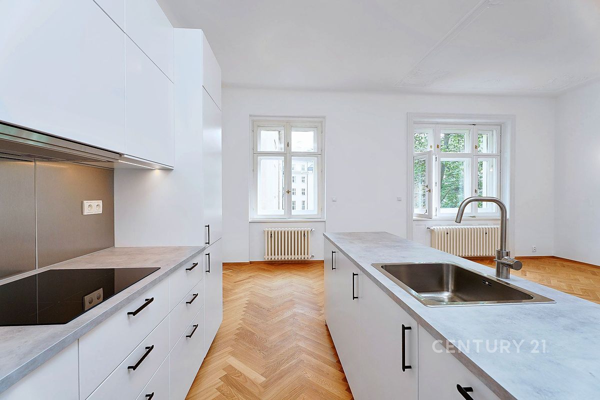 Pronájem bytu 2+kk 90 m² – fotografie 4
