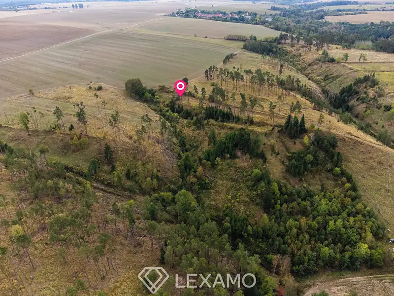 Prodej lesa 15246 m², Vladislav – náhled fotky 3