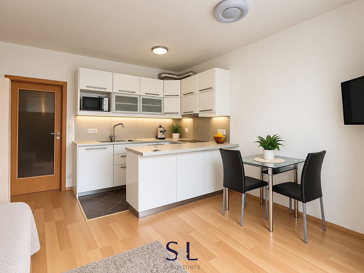 Pronájem bytu 1+kk 40 m² – fotografie 2