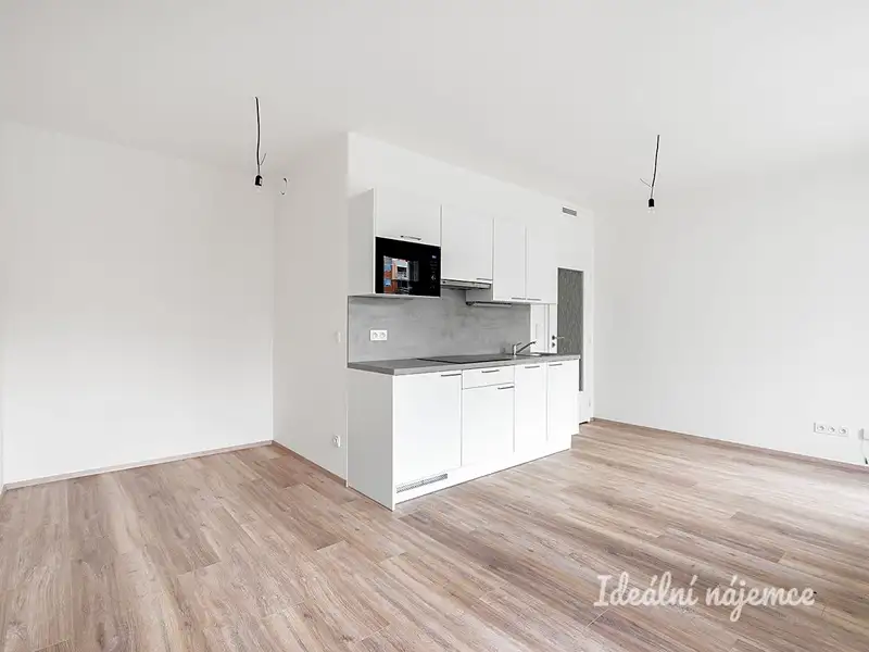 Pronájem bytu 1+kk 32 m², Praha – náhled fotky 1