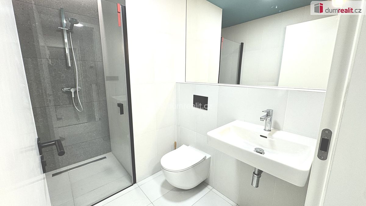 Pronájem bytu 1+kk 31 m² – fotografie 5