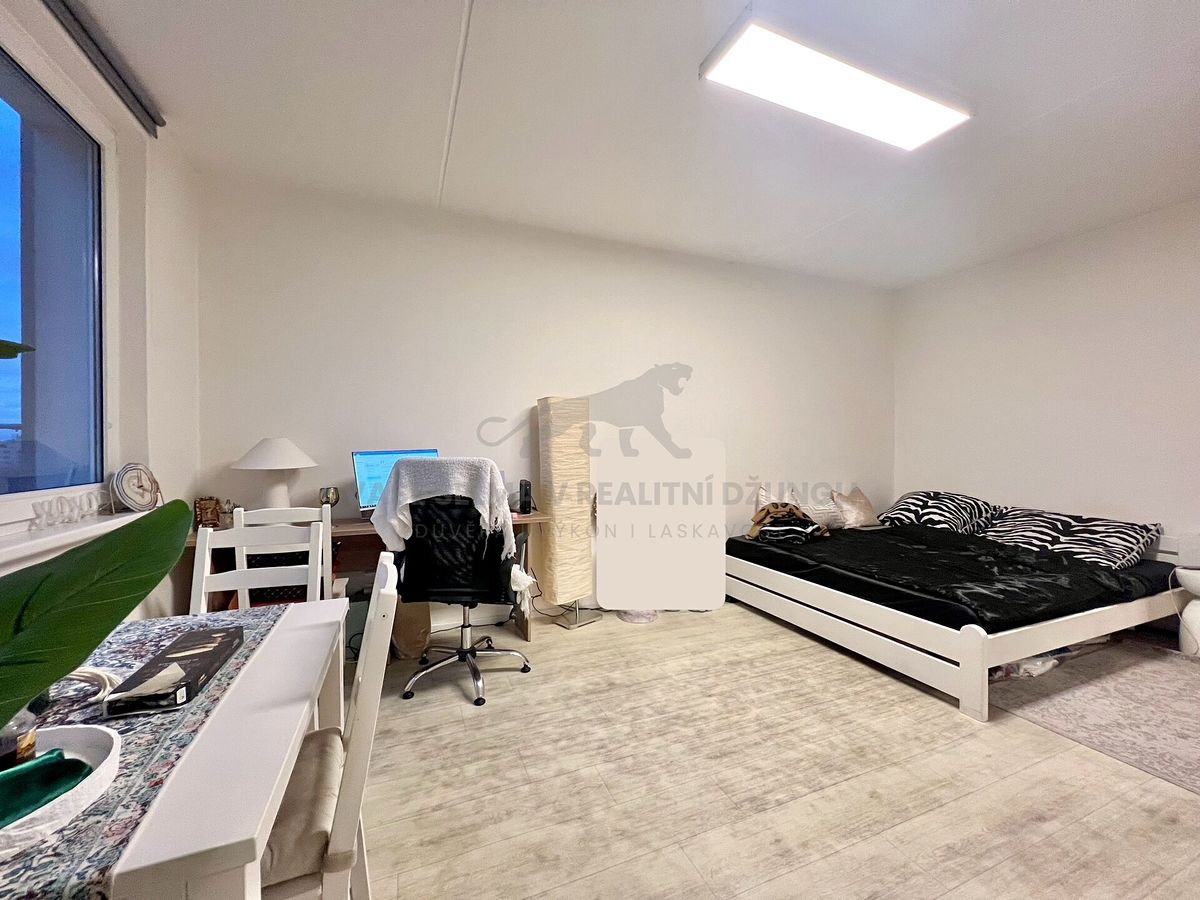 Pronájem bytu 1+kk 30 m² – fotografie 4