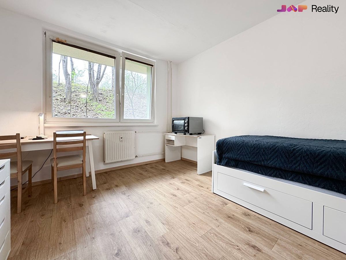 Pronájem bytu 1+kk 20 m²