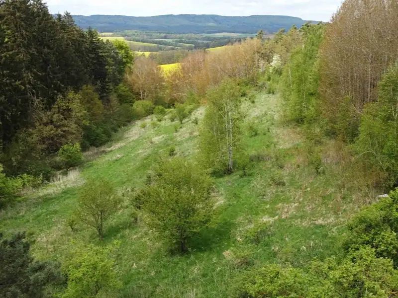 Dražba louky 16180 m², Křenov – náhled fotky 3