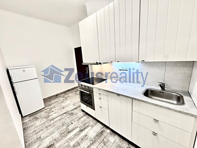 Pronájem bytu 1+1 47 m²