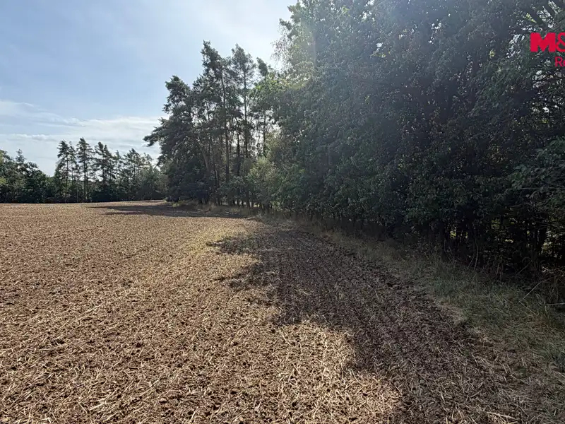 Prodej pole 8460 m², Úštěk – náhled fotky 3