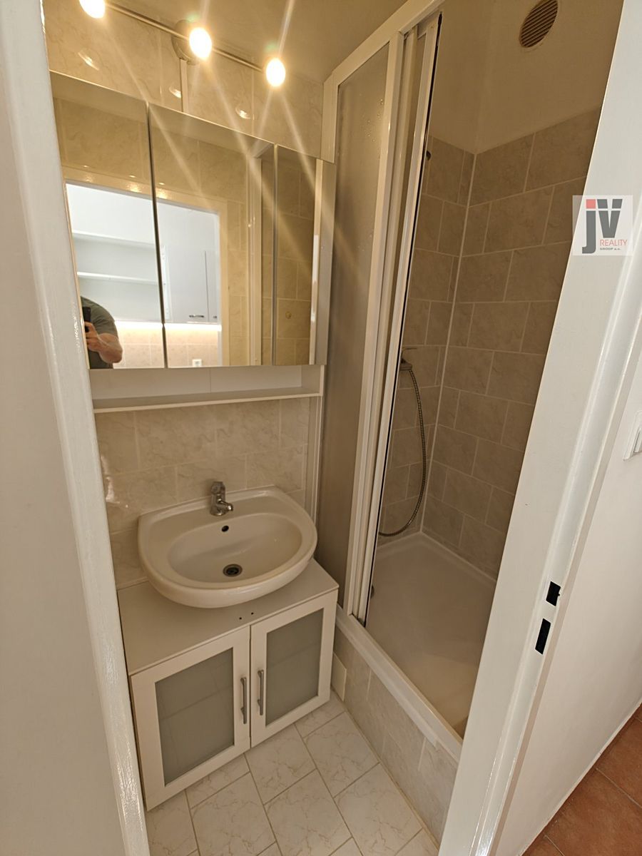 Pronájem bytu 1+1 39 m² – fotografie 4