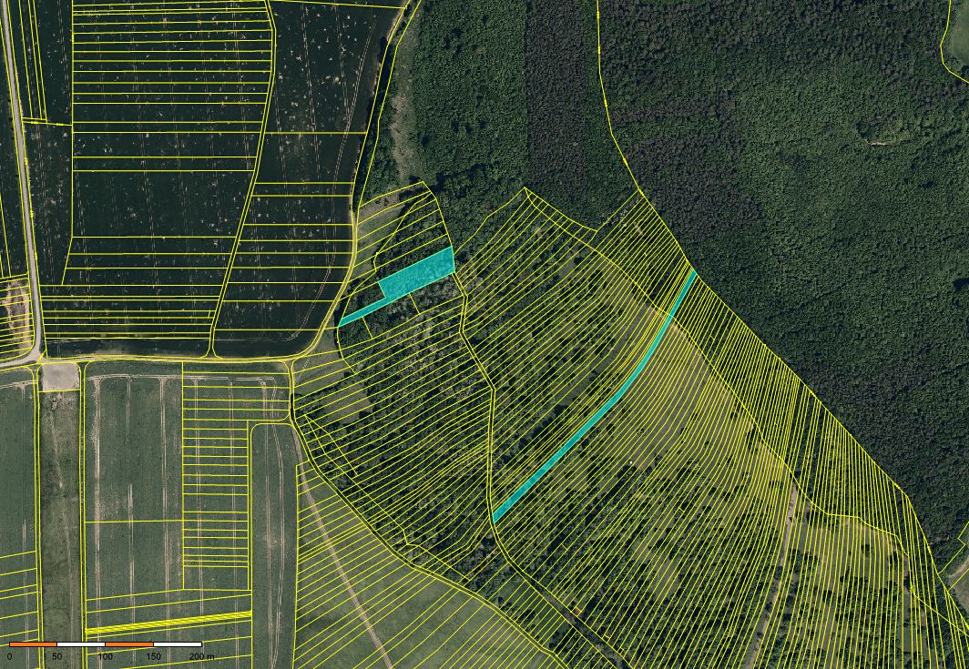 Prodej pole 6952 m² – fotografie 3