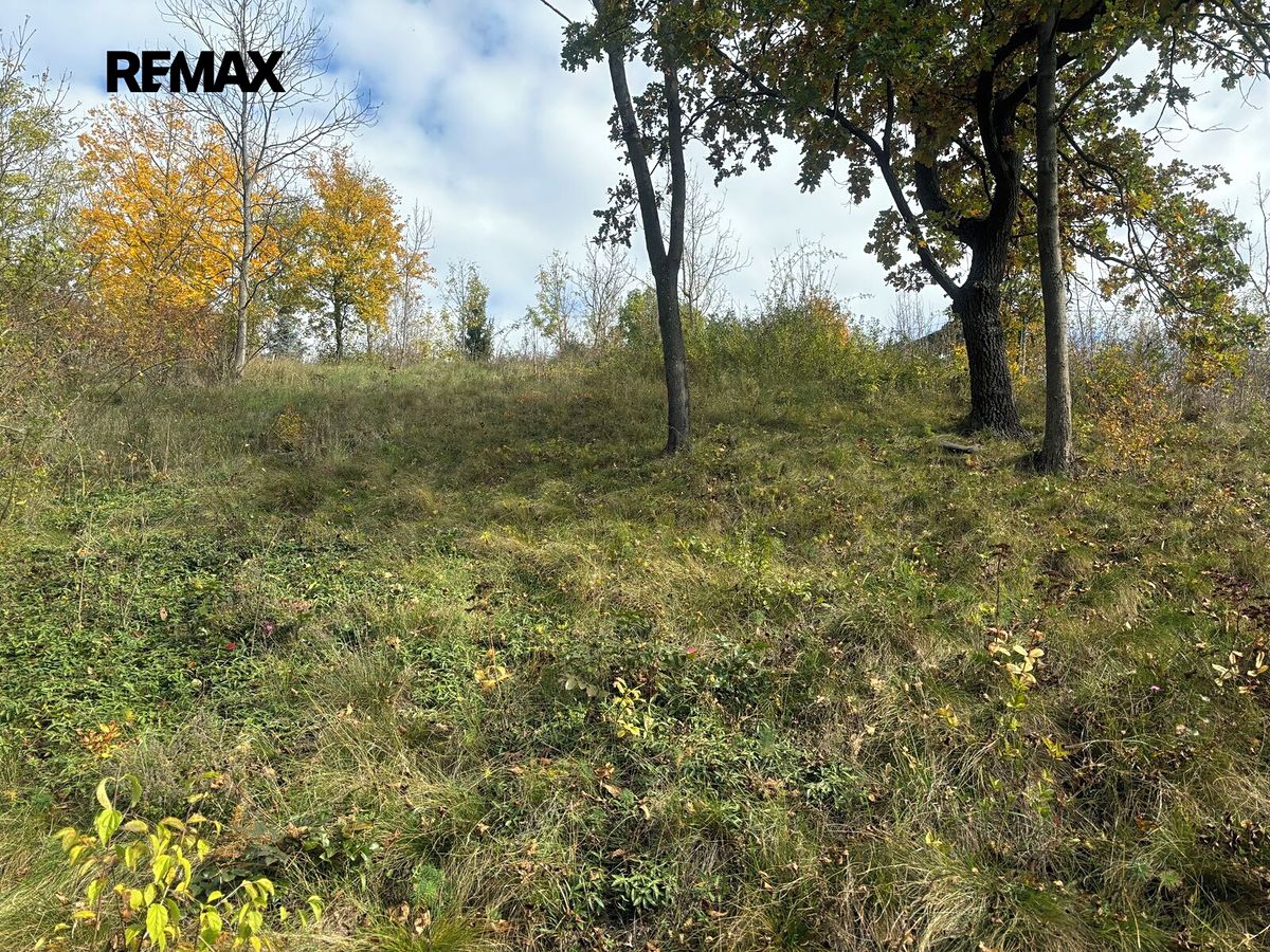 Prodej stavebního pozemku 1100 m² – fotografie 5