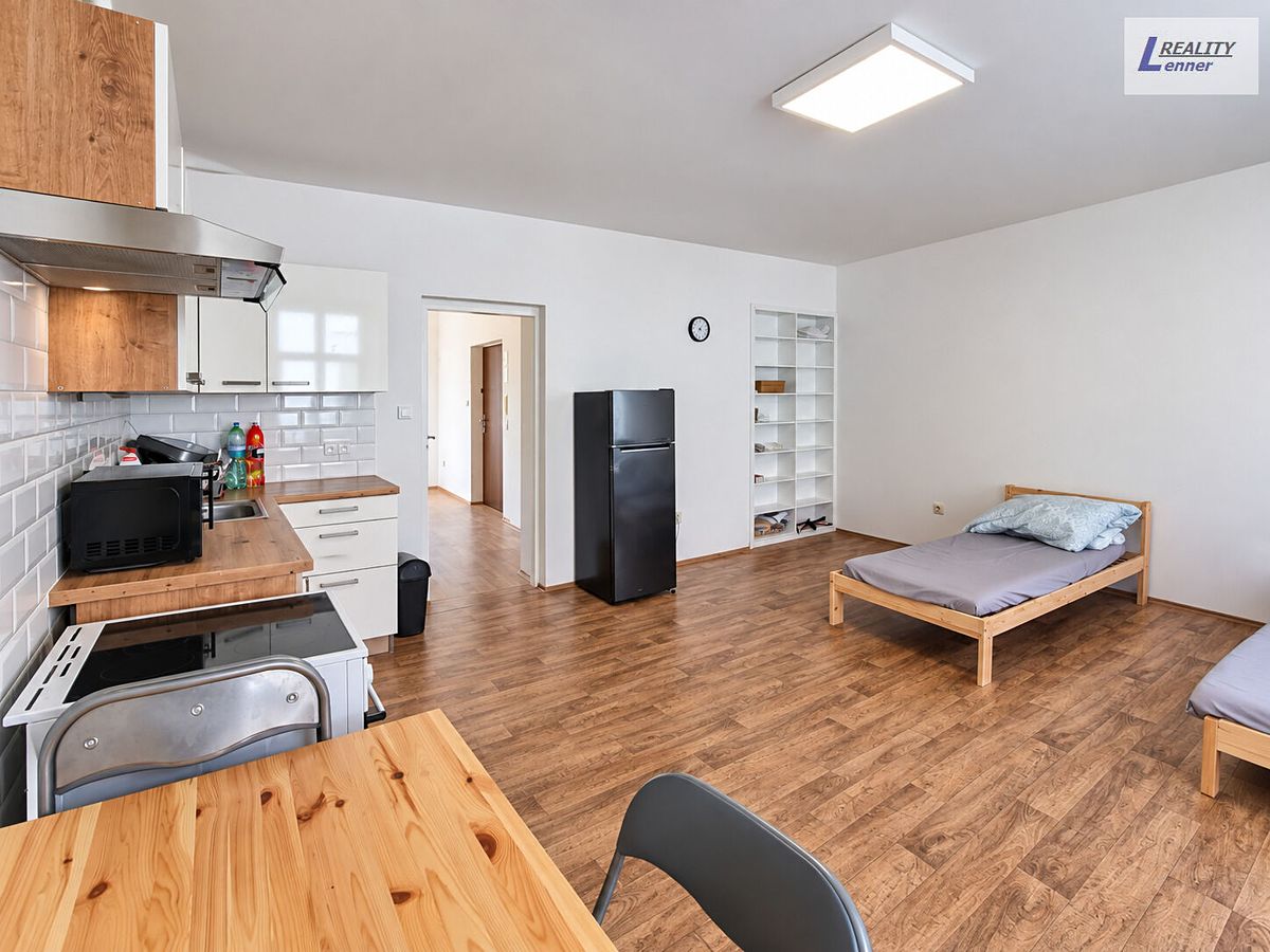 Pronájem bytu 1+kk 43 m² – fotografie 4