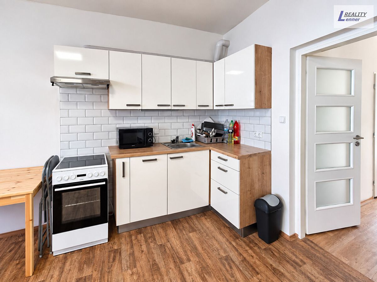 Pronájem bytu 1+kk 43 m² – fotografie 3