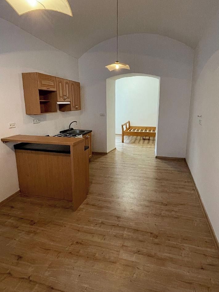 Pronájem bytu 1+1 40 m² – fotografie 4