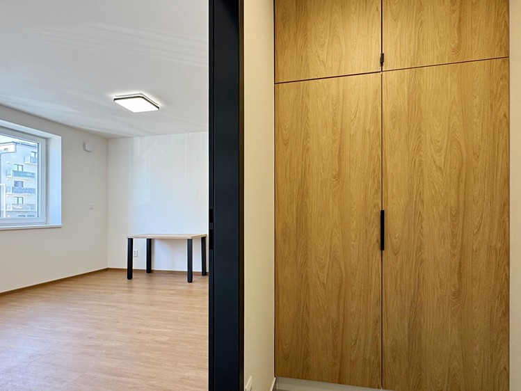Wohnung 1+kk zur Miete, 36 m² (22 von 27)