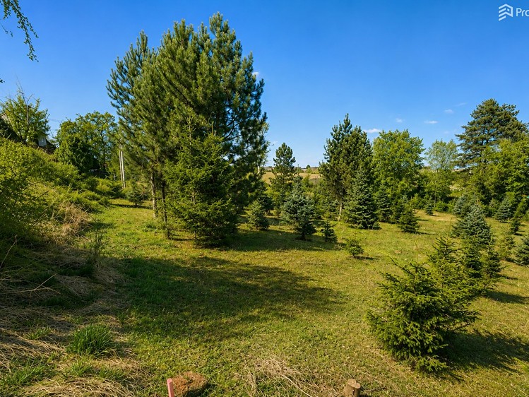 Grundstück zum Kauf, 971 m² (16 von 19)
