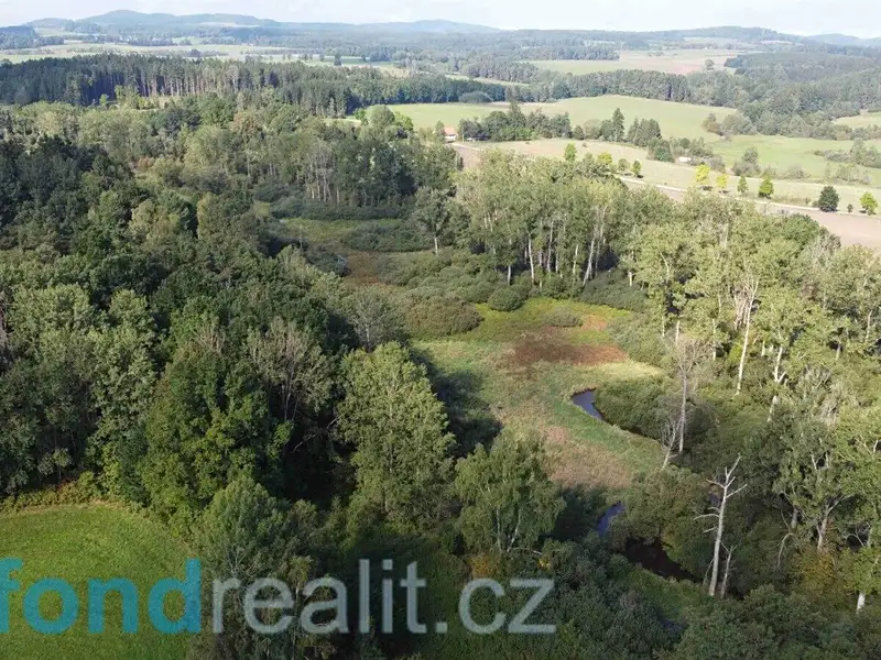 Prodej pozemku 24285 m², Dolní Dvořiště – náhled fotky 2