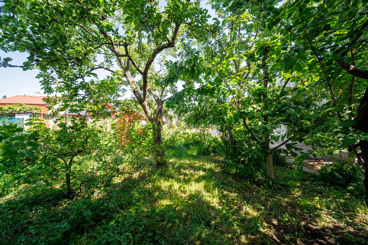 Prodej stavebního pozemku 556 m² – fotografie 4
